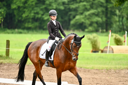 Goldene Schärpe Pferfde in Löningen 2026 | 12062026Dressur B _0680 