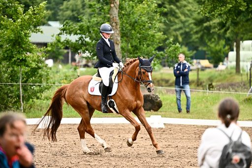 Goldene Schärpe Pferfde in Löningen 2026 | 12062026Dressur B _0681 