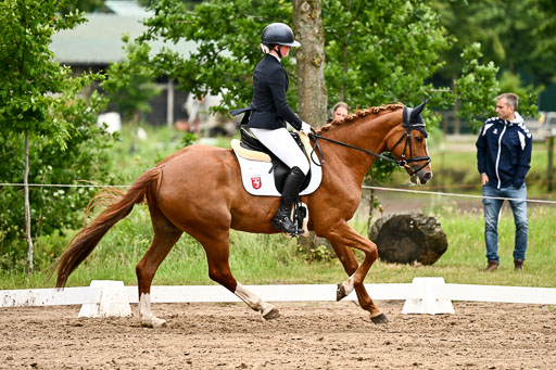 Goldene Schärpe Pferfde in Löningen 2026 | 12062026Dressur B _0683 