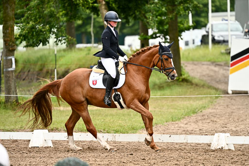 Goldene Schärpe Pferfde in Löningen 2026 | 12062026Dressur B _0684 