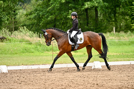 Goldene Schärpe Pferfde in Löningen 2026 | 12062026Dressur B _0685 