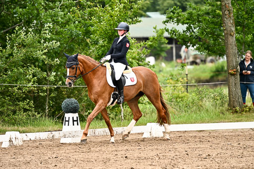 Goldene Schärpe Pferfde in Löningen 2026 | 12062026Dressur B _0688 