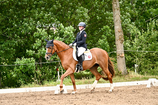 Goldene Schärpe Pferfde in Löningen 2026 | 12062026Dressur B _0690 