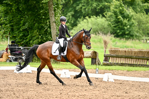 Goldene Schärpe Pferfde in Löningen 2026 | 12062026Dressur B _0692 