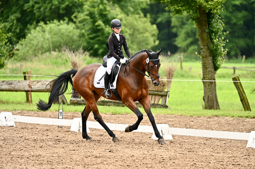 Goldene Schärpe Pferfde in Löningen 2026 | 12062026Dressur B _0694 
