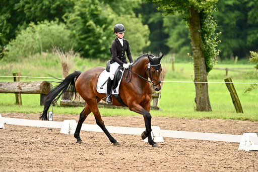 Goldene Schärpe Pferfde in Löningen 2026 | 12062026Dressur B _0695 
