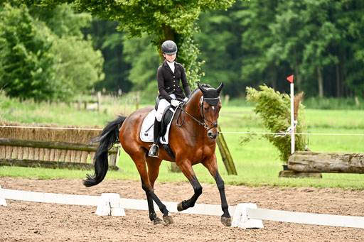 Goldene Schärpe Pferfde in Löningen 2026 | 12062026Dressur B _0696 