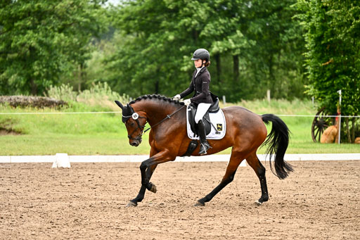 Goldene Schärpe Pferfde in Löningen 2026 | 12062026Dressur B _0697 