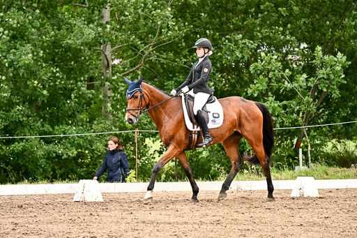 Goldene Schärpe Pferfde in Löningen 2026 | 12062026Dressur B _0699 