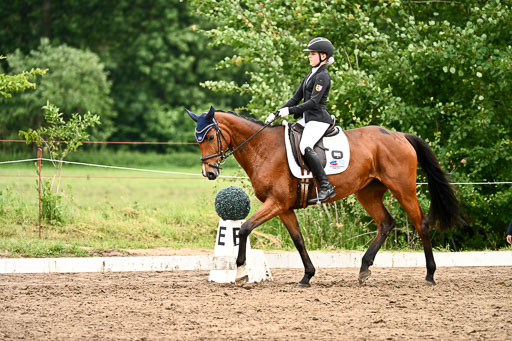 Goldene Schärpe Pferfde in Löningen 2026 | 12062026Dressur B _0701 