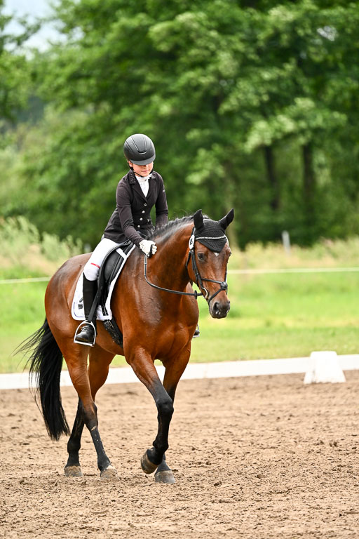 Goldene Schärpe Pferfde in Löningen 2026 | 12062026Dressur B _0703 