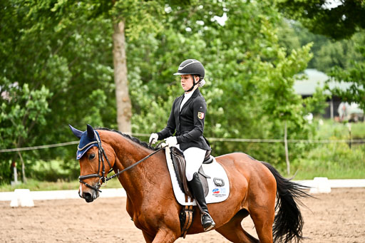Goldene Schärpe Pferfde in Löningen 2026 | 12062026Dressur B _0704 