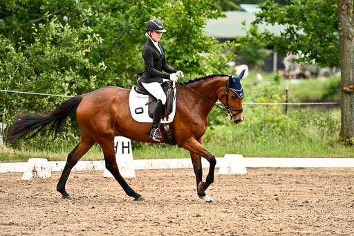 Goldene Schärpe Pferfde in Löningen 2026 | 12062026Dressur B _0707 