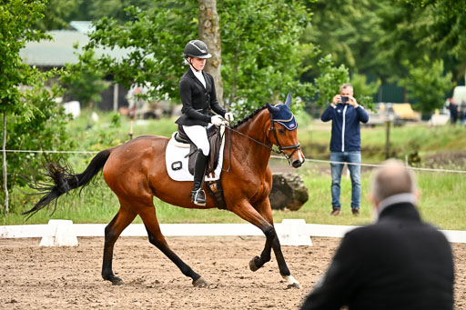 Goldene Schärpe Pferfde in Löningen 2026 | 12062026Dressur B _0708 
