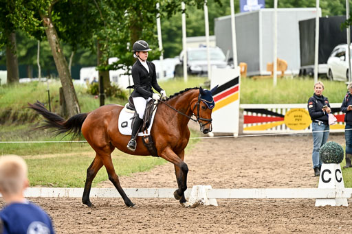 Goldene Schärpe Pferfde in Löningen 2026 | 12062026Dressur B _0709 