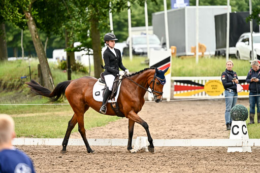 Goldene Schärpe Pferfde in Löningen 2026 | 12062026Dressur B _0710 