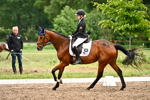 Goldene Schärpe Pferfde in Löningen 2026 | 12062026Dressur B _0711 