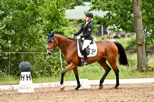 Goldene Schärpe Pferfde in Löningen 2026 | 12062026Dressur B _0712 