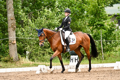 Goldene Schärpe Pferfde in Löningen 2026 | 12062026Dressur B _0713 