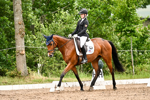 Goldene Schärpe Pferfde in Löningen 2026 | 12062026Dressur B _0714 