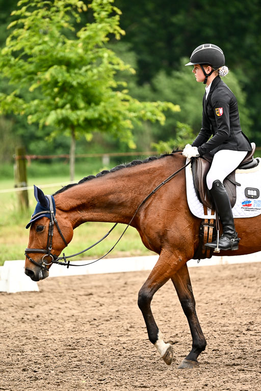Goldene Schärpe Pferfde in Löningen 2026 | 12062026Dressur B _0715 