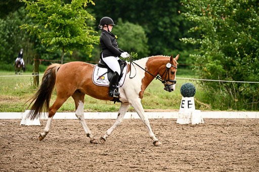 Goldene Schärpe Pferfde in Löningen 2026 | 12062026Dressur B _0716 