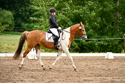 Goldene Schärpe Pferfde in Löningen 2026 | 12062026Dressur B _0717 