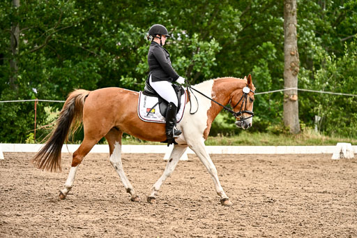 Goldene Schärpe Pferfde in Löningen 2026 | 12062026Dressur B _0718 