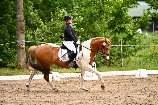 Goldene Schärpe Pferfde in Löningen 2026 | 12062026Dressur B _0719 
