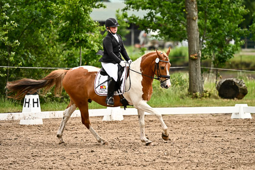 Goldene Schärpe Pferfde in Löningen 2026 | 12062026Dressur B _0720 
