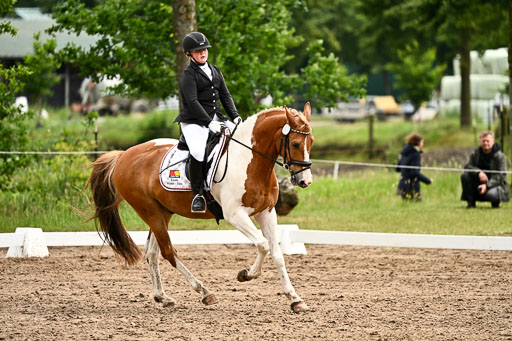 Goldene Schärpe Pferfde in Löningen 2026 | 12062026Dressur B _0721 