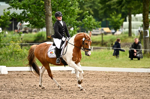 Goldene Schärpe Pferfde in Löningen 2026 | 12062026Dressur B _0722 
