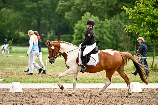 Goldene Schärpe Pferfde in Löningen 2026 | 12062026Dressur B _0723 