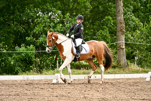 Goldene Schärpe Pferfde in Löningen 2026 | 12062026Dressur B _0724 