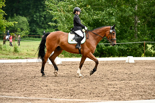 Goldene Schärpe Pferfde in Löningen 2026 | 12062026Dressur B _0726 