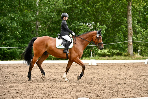 Goldene Schärpe Pferfde in Löningen 2026 | 12062026Dressur B _0727 