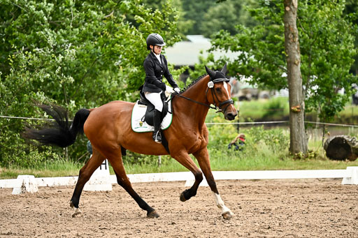 Goldene Schärpe Pferfde in Löningen 2026 | 12062026Dressur B _0728 