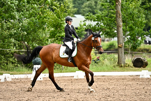 Goldene Schärpe Pferfde in Löningen 2026 | 12062026Dressur B _0729 