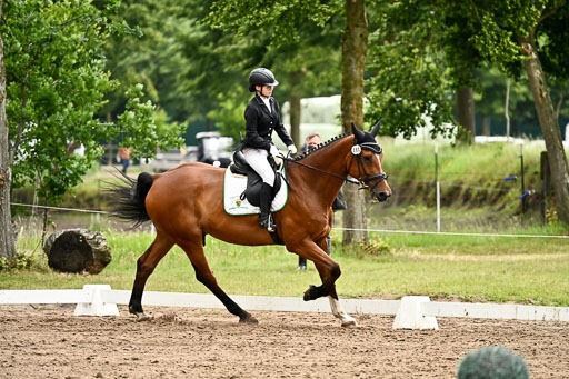 Goldene Schärpe Pferfde in Löningen 2026 | 12062026Dressur B _0730 