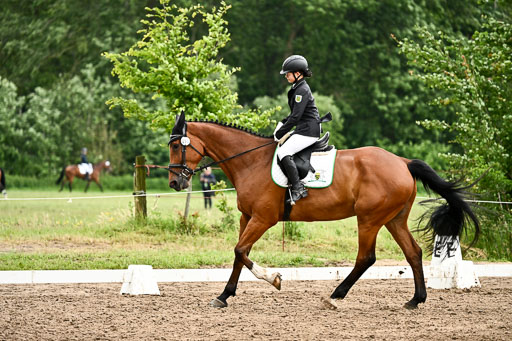 Goldene Schärpe Pferfde in Löningen 2026 | 12062026Dressur B _0731 