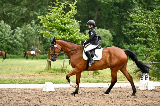 Goldene Schärpe Pferfde in Löningen 2026 | 12062026Dressur B _0732 