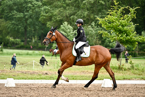 Goldene Schärpe Pferfde in Löningen 2026 | 12062026Dressur B _0733 
