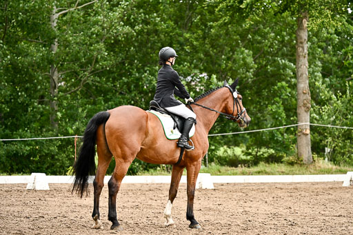 Goldene Schärpe Pferfde in Löningen 2026 | 12062026Dressur B _0734 