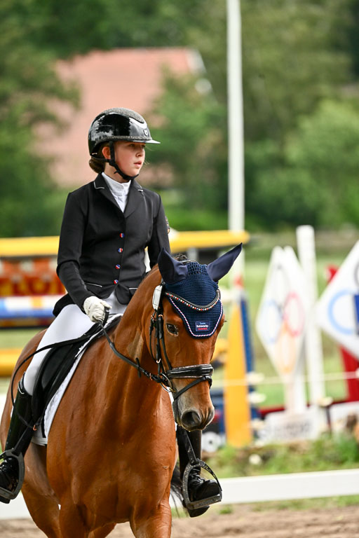 Goldene Schärpe Pferfde in Löningen 2026 | 12062026Dressur B _0735 