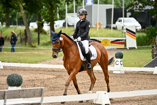 Goldene Schärpe Pferfde in Löningen 2026 | 12062026Dressur B _0736 