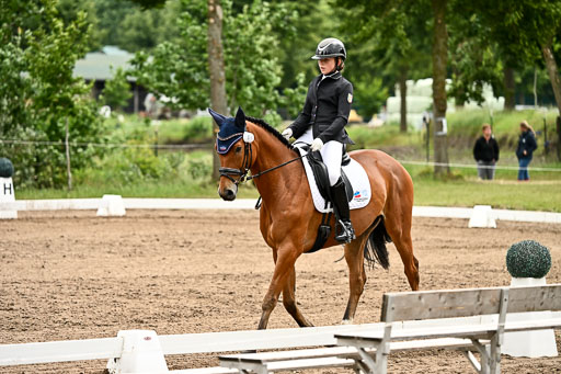Goldene Schärpe Pferfde in Löningen 2026 | 12062026Dressur B _0737 