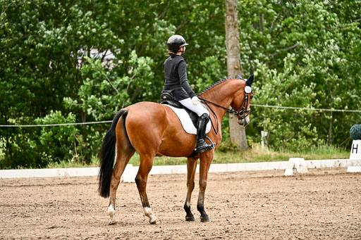 Goldene Schärpe Pferfde in Löningen 2026 | 12062026Dressur B _0739 