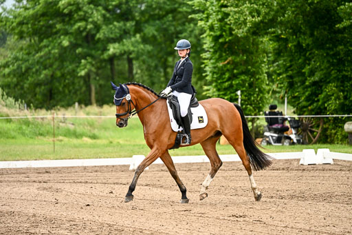 Goldene Schärpe Pferfde in Löningen 2026 | 12062026Dressur B _0740 