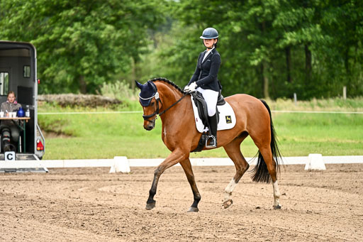 Goldene Schärpe Pferfde in Löningen 2026 | 12062026Dressur B _0741 