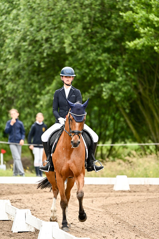 Goldene Schärpe Pferfde in Löningen 2026 | 12062026Dressur B _0742 